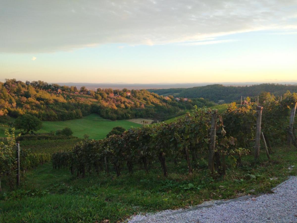 Holiday Home Nature Plesivica Jastrebarsko Dış mekan fotoğraf